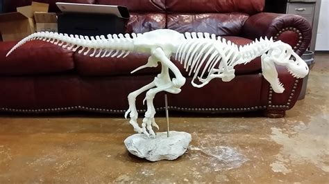 full size dinosaur skeleton models